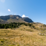 _DSC9154