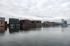 _DSC0092