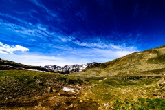 _DSC3542