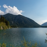 _DSC4481