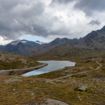 _DSC4539