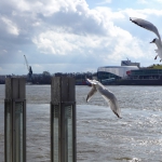 Hamburg2017-03-234