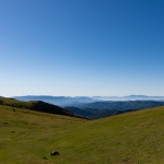 _DSC9011