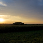 _DSC4359