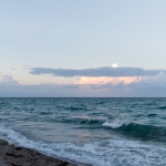 _DSC7554