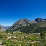 _DSC4745